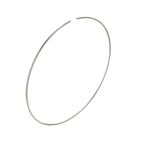 Snap Ring