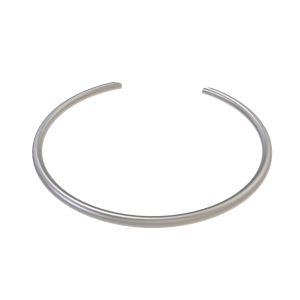 Snap Ring