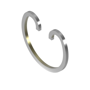 Snap Ring