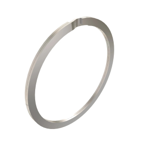 Snap Ring
