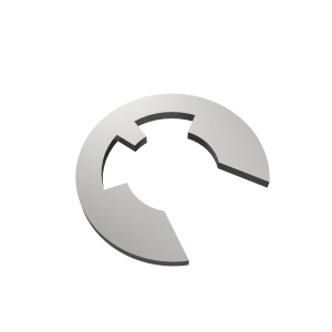 Snap Ring