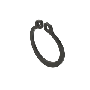 Snap Ring