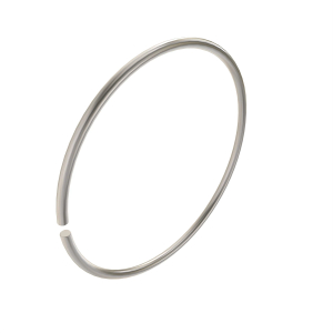 Snap Ring