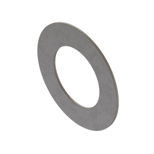 Disk Spring