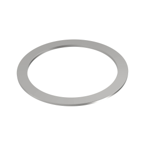 Disk Spring