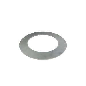Disk Spring