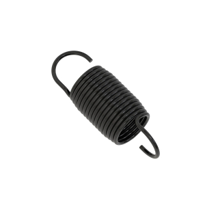 M155308: Spring