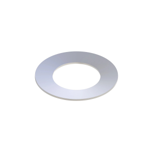 Disk Spring