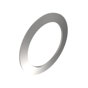 Disk Spring