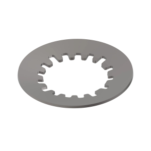Disk Spring