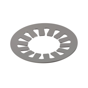 Disk Spring