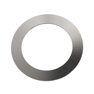 Disk Spring