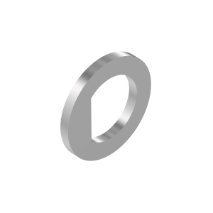 Thrust Washer