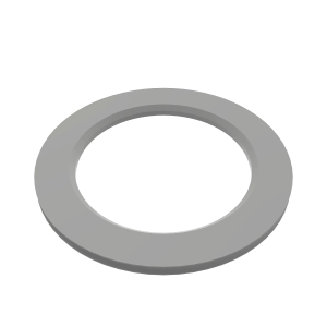 Thrust Washer