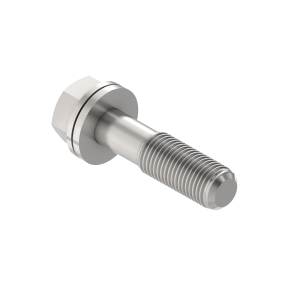 Lock Washer