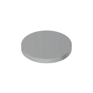 Disk