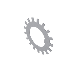 Lock Washer