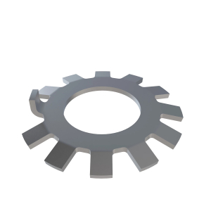 NF100869: Lock Washer