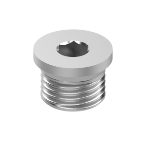 Fitting Plug