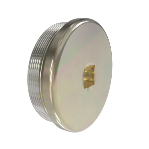 Fitting Plug