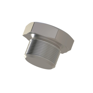 Fitting Plug