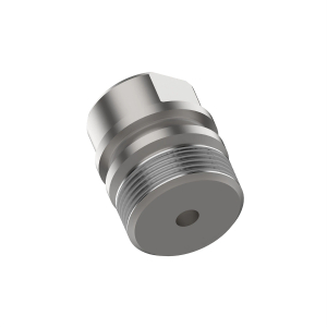 Fitting Plug
