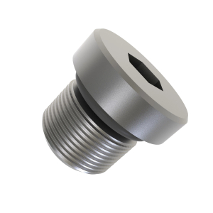 Fitting Plug