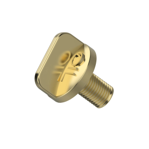 Fitting Plug