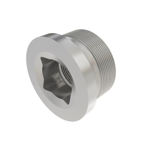 Fitting Plug