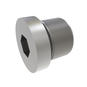 Fitting Plug