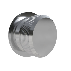 Fitting Plug