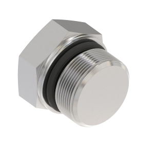 Fitting Plug