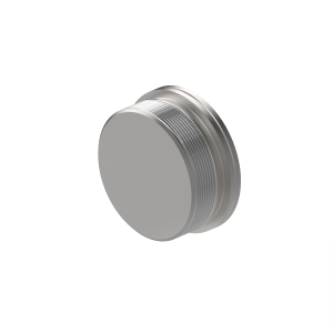 Fitting Plug