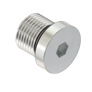 Fitting Plug