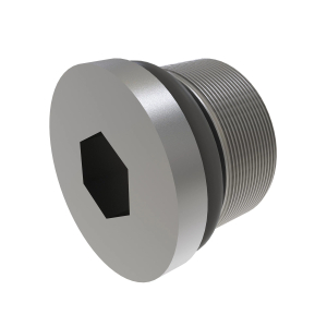 Fitting Plug
