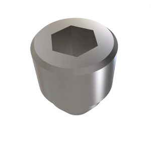 Fitting Plug