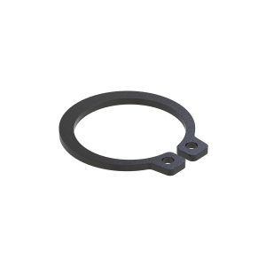 Piston Ring