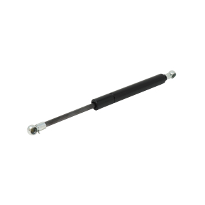 RE234996: Gas Operated Cylinder