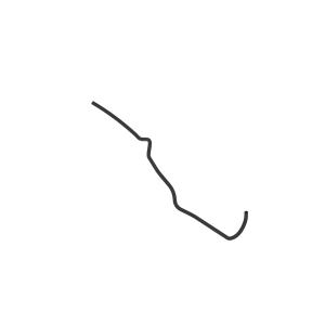 Hose