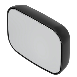 Rear View Mirror