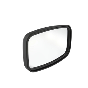 Rear View Mirror