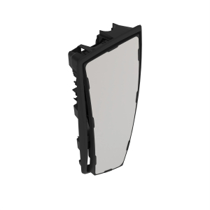 Rear View Mirror