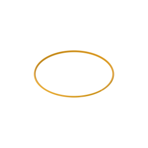 Wheel Ring