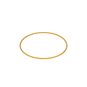 Wheel Ring