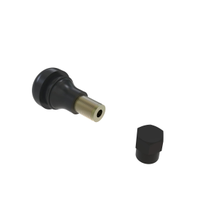 Image of UC13881