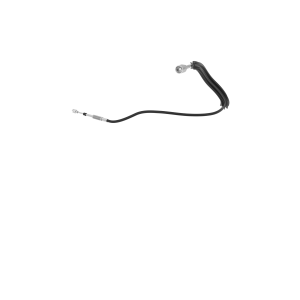 Image of SJ21992