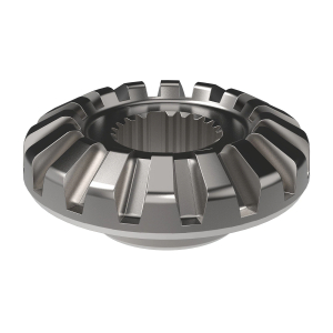 Bevel Gear
