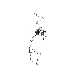 Image of LVA24263