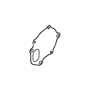 Gasket