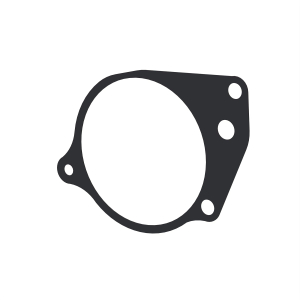 Gasket